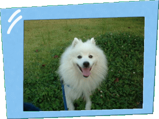 ���a���茢��1���@�����񂿂̃��I���N